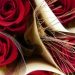 Libros y rosas: el tándem de Sant Jordi (descubre nuestras recomendaciones)
